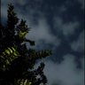 Фото профиля فـيصل