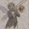 Profilbild von AttaGyamfi