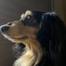 もぐもぐ通信's profile picture