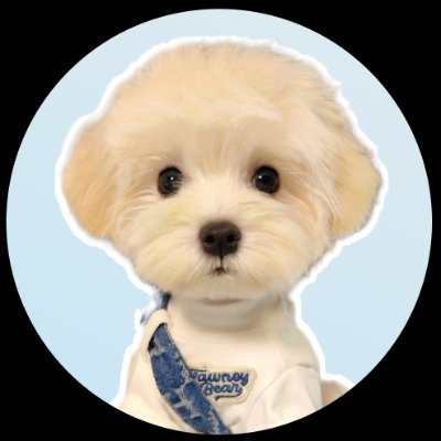 ☁️🤍's profile picture