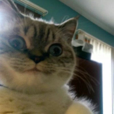 FachoFren's profile picture