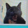 Huzz Aldrin's profile picture