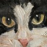 bal's profile picture