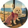 tced's profile picture