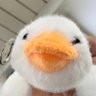 碧 音夢🎶💤's profile picture