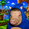 Profilbild von The Hedge Hawg - ヘッジホッグ 🐽