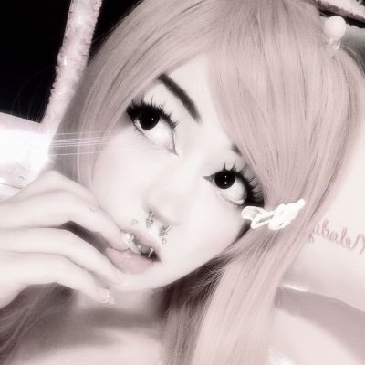 princess lily 🐾's profile picture