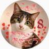 Фото профиля きのびー💃🕺
