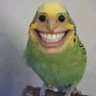 Profilbild von Pechuguita