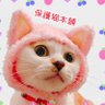 Фото профиля 保護猫本舗