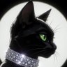 Debbiemedium's profile picture