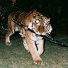 W_E_N_O_X profil fotoğrafı