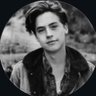 โโ โD. ๐๐ฐ๐ป๐ด๐ท๐ค's profile picture