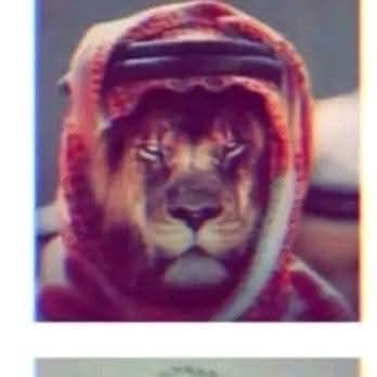 - Sultan bin Ali سلطان🇸🇾's profile picture