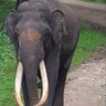 Profilbild von Venkat