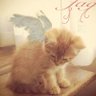 Lck profil fotoğrafı