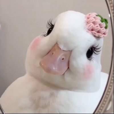 𑣲𑣲 微微 | wēi wēi ˖Ი𐑼⋆'s profile picture