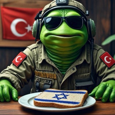🇹🇷AGRESİF- TURK's profile picture