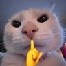 Profilbild von Control