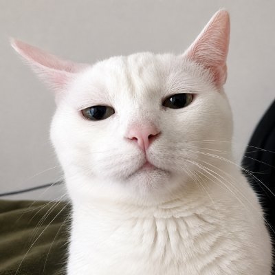 馴獸師人生's profile picture