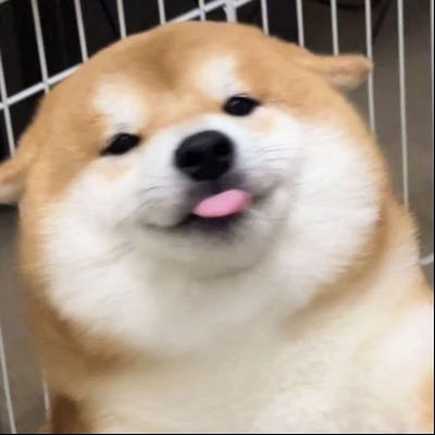 ilysh1121's profile picture