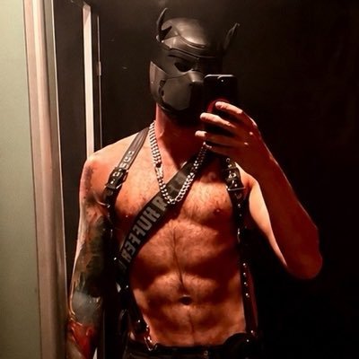 WoulfRyder's profile picture