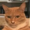 Profilbild von mkz911