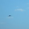 โ ห. .ห โ โ๐ฟ ็ๅคดๅ