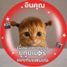 จจเอง ยัยเพี้ยน (แม่เคะ🩷)'s profile picture