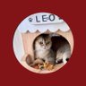 Profilbild von ✨ CREAM__🐥🐶:-)^^^^