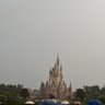 Mana_0904's profile picture