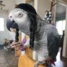 Фото профиля Jewcob Grey