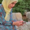 Profilbild von م.مومیوند
