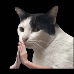 อัพไปเรื่อยเปื่อย's profile picture