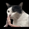 อัพไปเรื่อยเปื่อย's profile picture
