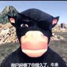 A's profile picture
