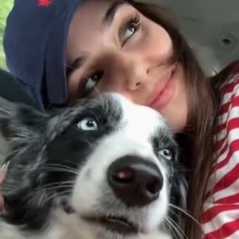 Camylla Frigatto's profile picture