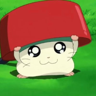 yakisabameshi's profile picture