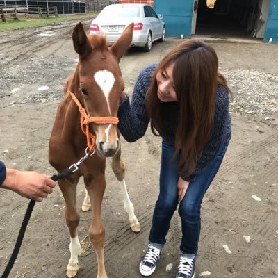 ♥️凛はお馬ちゃんが大好き♥️'s profile picture