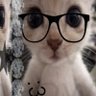 Niso profil fotoğrafı