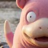 Profilbild von Slowpoke 🐽