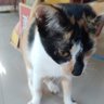 Selasa⚡️ profil fotoğrafı