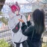 つばさ🐱🎀's profile picture