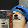 Candy 的头像