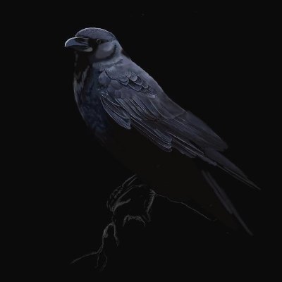 jorkingmypanits's profile picture