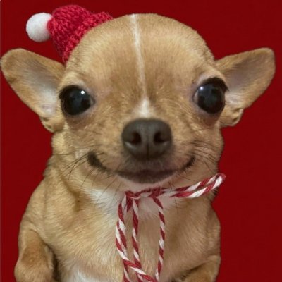 🤘⭐BB ³²⁷🤘⭐'s profile picture