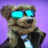 AFCB_Rob 🍒's profile picture