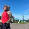 jdizzle profil fotoğrafı