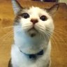 Profilbild von OHNO YUSUKE
