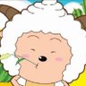pxdhwjf's profile picture
